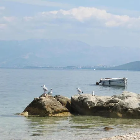 Luxurious In Arbanija With Jacuzzi 펜션 *